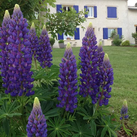 Vakantiehuis Yumana La Maison De Mana